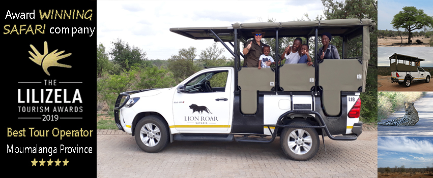 child-friendly-safari-Kruger-National-Park 1 Child friendly safari